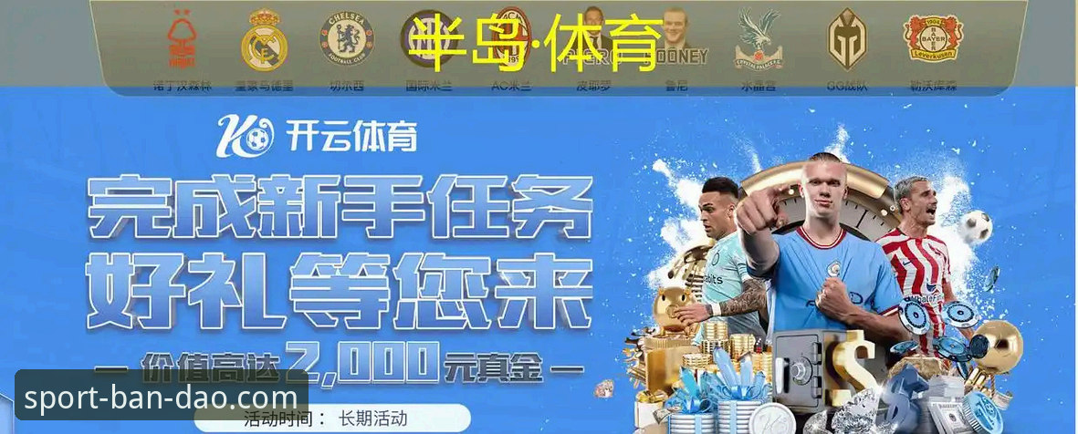 半岛体育登录入口实战评测：从安装到使用的完整体验报告